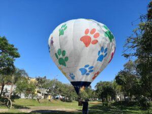 remote controlled balloon