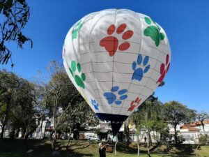 remote controlled balloon bonim